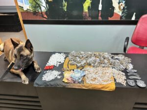 PM apreende cerca de 2.000 pedras de crack, munições e outras drogas em Palmeira dos Índios